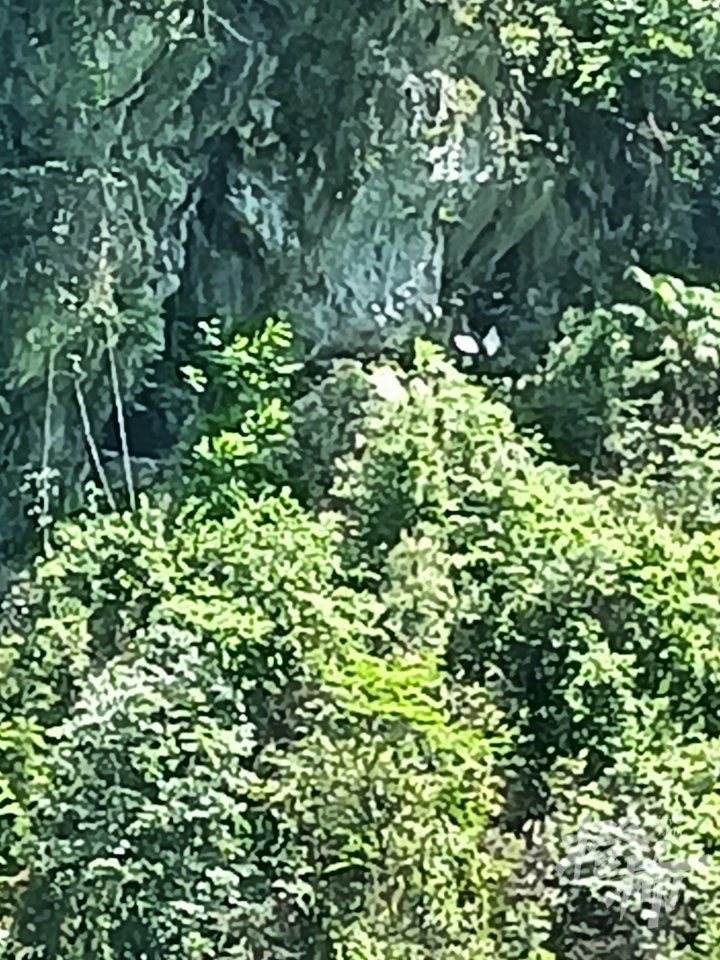 微信图片_20240806163138.jpg