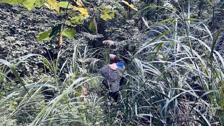 上山到红军墓大概要走1个小时这样的山路.JPG