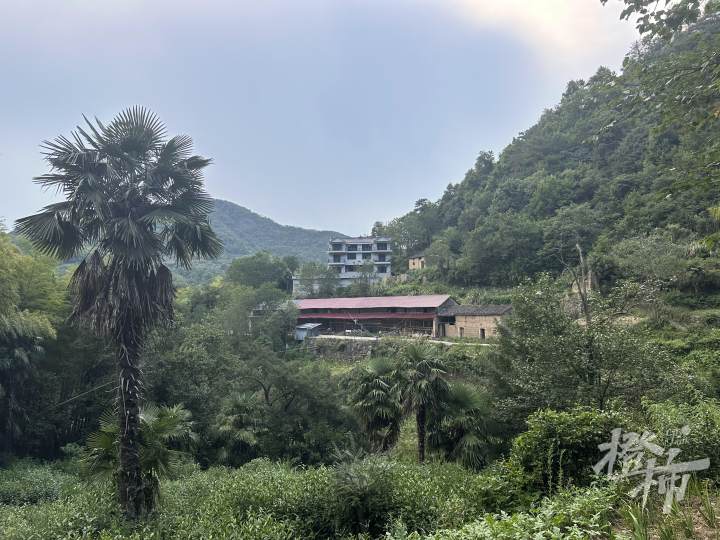 马财高家（儿女为马财高翻新了老屋）.JPG