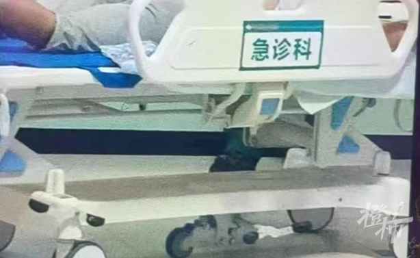 微信图片_20240812171013.png
