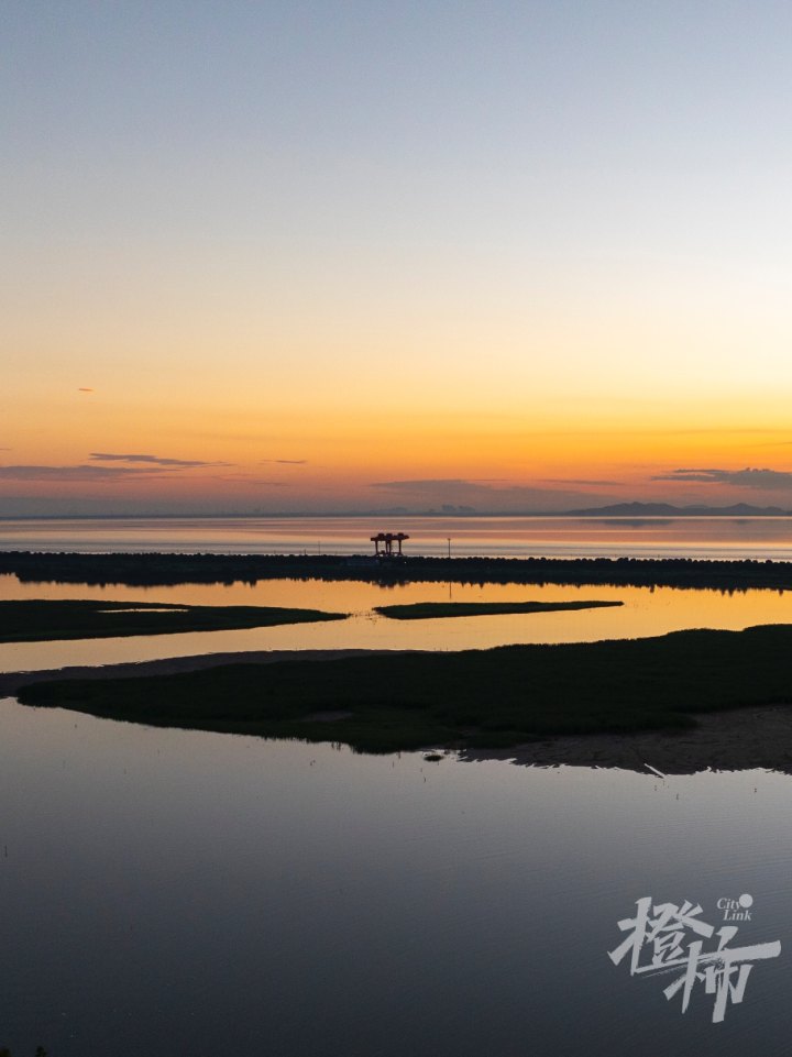 江海湿地DJI_20240705045421_0083_D.jpg