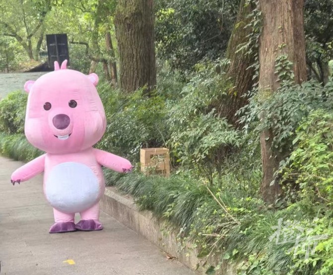 微信截图_20240925200328.png