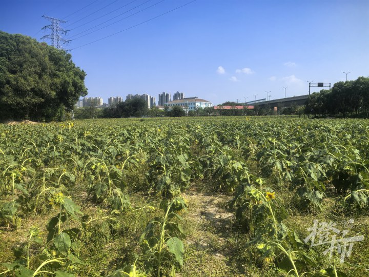 微信图片_20240906175340.jpg