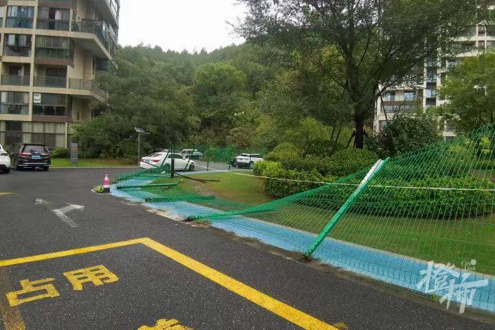 铁丝网2.jpg