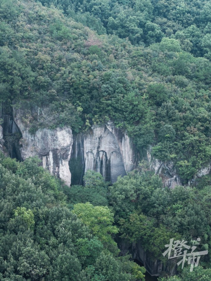 南山造像DJI_20240903114515_0479_D.jpg