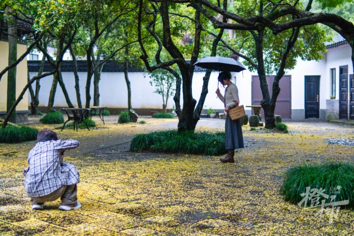 满觉陇DSC08096.jpg
