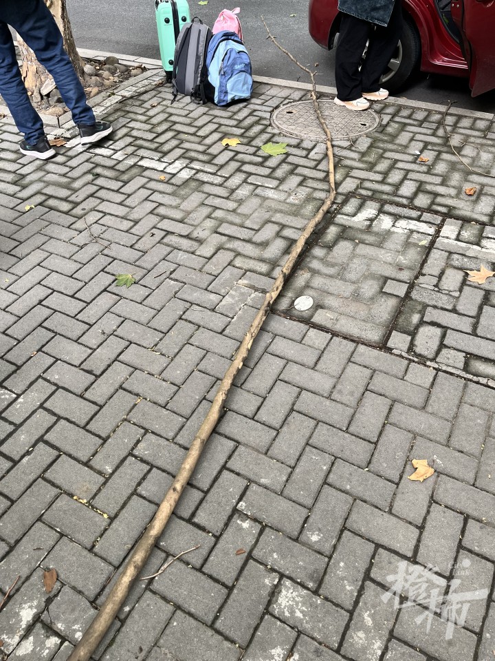 微信图片_20241023210116.jpg