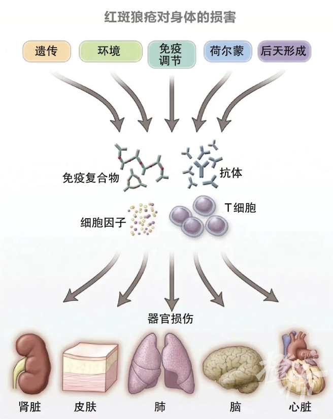 截屏2024-10-30 10.59.01.png