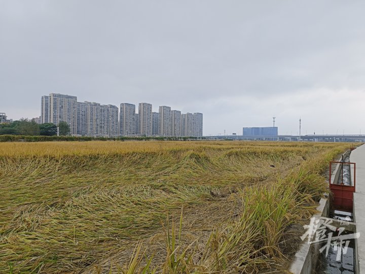 微信图片_20241022203244.jpg