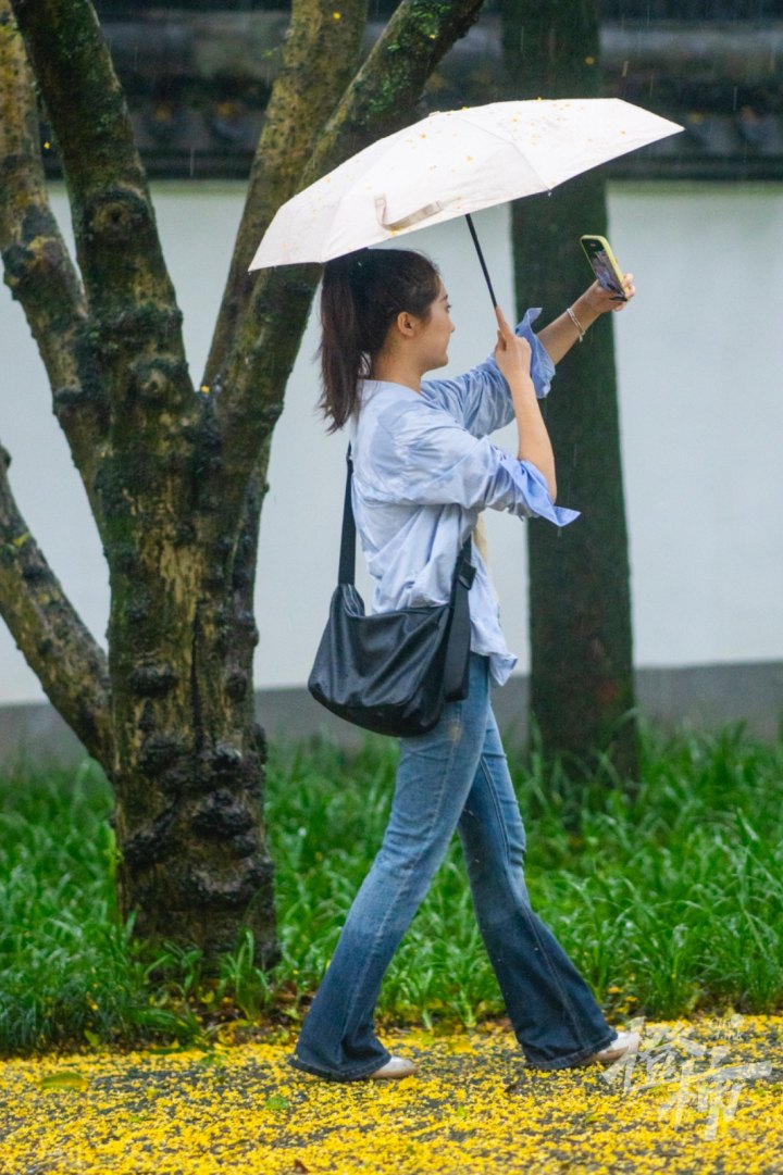 满觉陇DSC08056.jpg