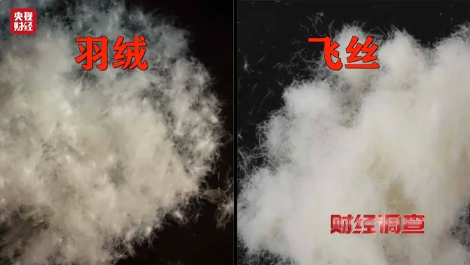 微信截图_20241128211521.png