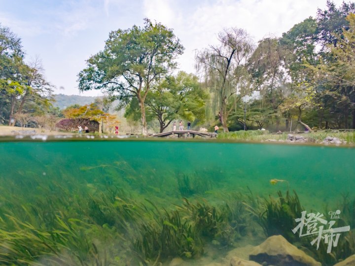 太子湾 1DJI_20241104154746_0044_D.jpg