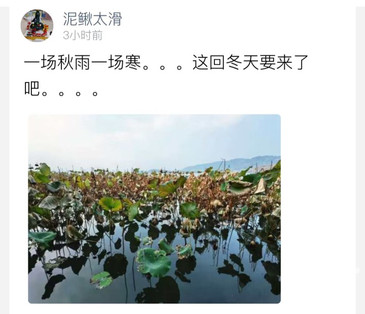 微信图片_20241115110930.jpg