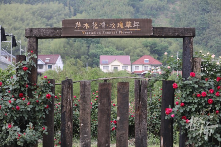 微信图片_20241104082115.jpg