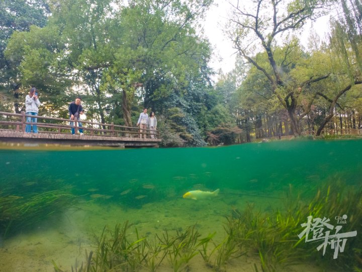 太子湾 1DJI_20241104155514_0062_D.jpg