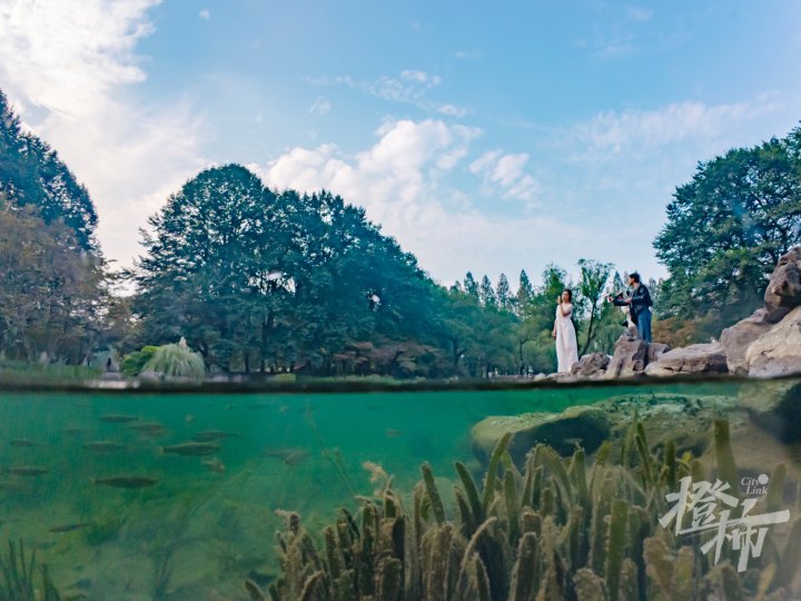 太子湾 1DJI_20241104154112_0032_D.jpg