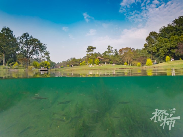 太子湾 1DJI_20241104152932_0018_D.jpg