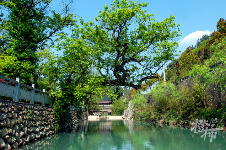 月亮桥水景.jpg