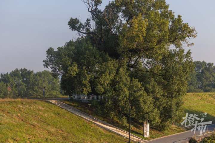 苕溪GE5A8893.jpg