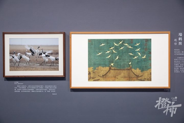 241108czq32 浙江省博物馆之江馆区，“问羽：宋代的自然与艺术世界”展览。 记者 陈中秋 摄.jpg
