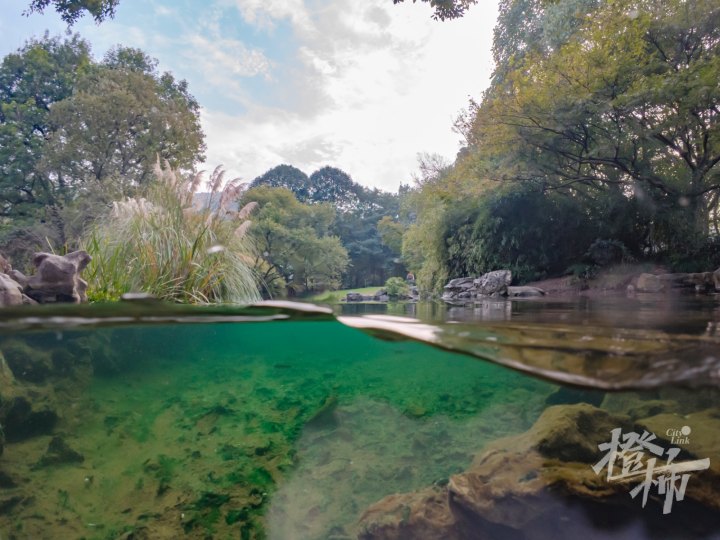 太子湾 1DJI_20241104154018_0029_D.jpg