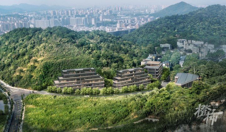 云树望山院图.jpg