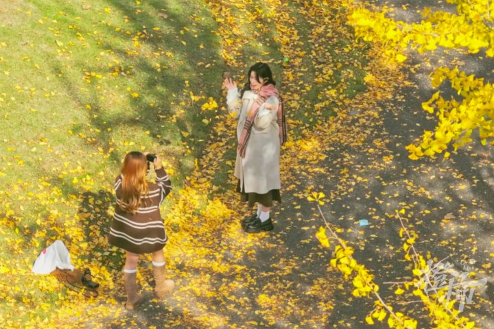 银杏静帧 2024-11-29 172736_1.4.1-已增强-SR增强.jpg