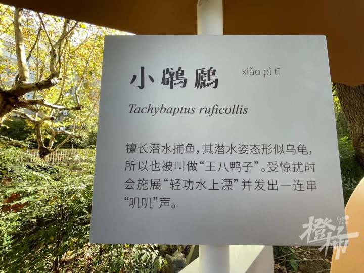 微信图片_20241202131216.jpg