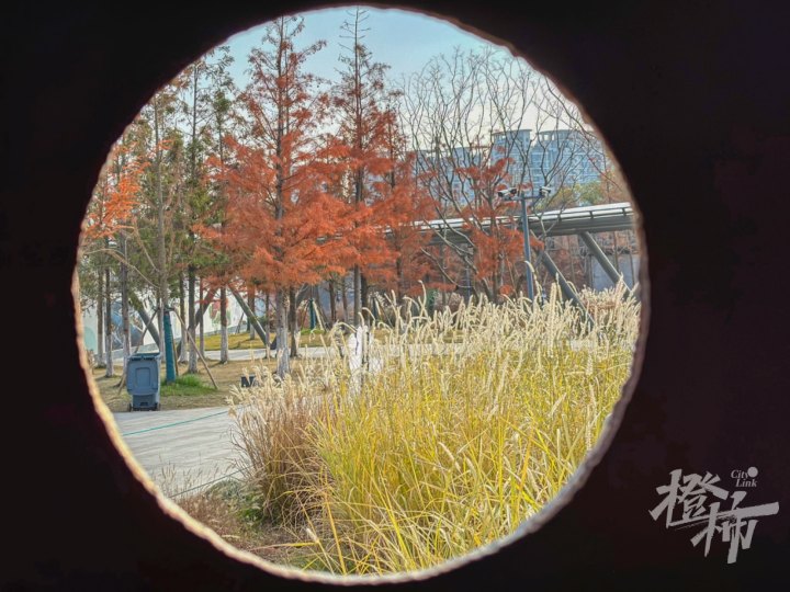 运河IMG_2791_xy.JPG