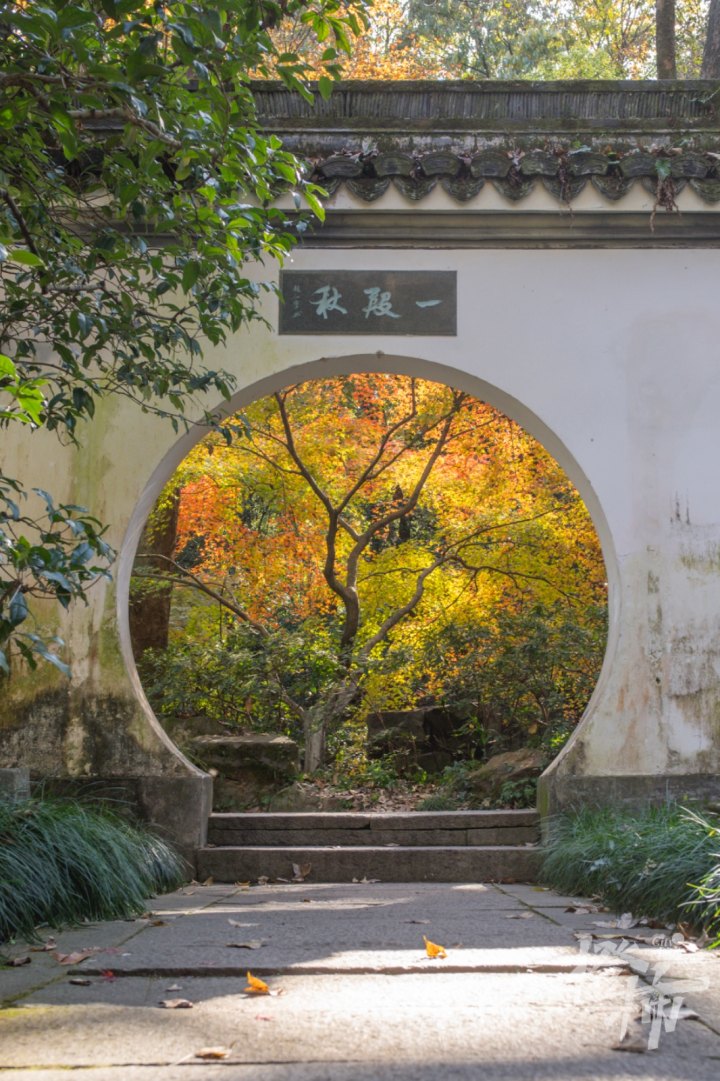虎跑秋色DSC09556增强.jpg