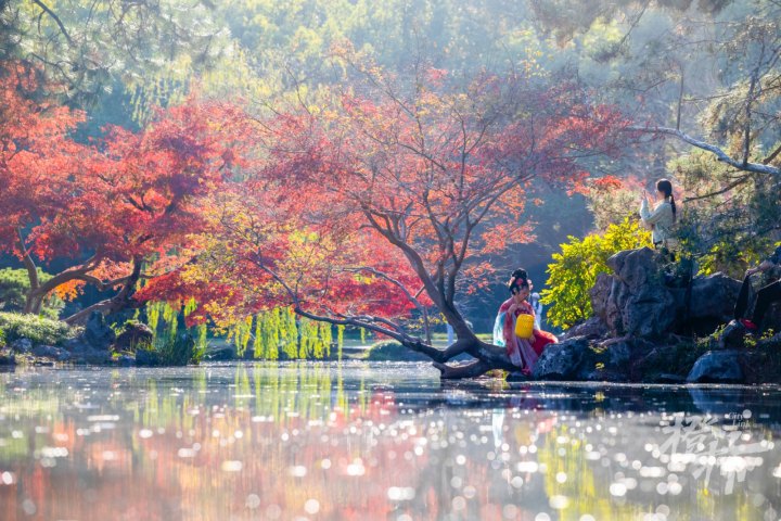 花港观鱼秋色GE5A4998增强新.JPG