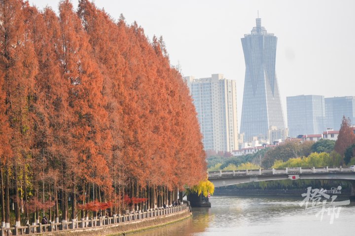 运河DSC00401_xy.JPG