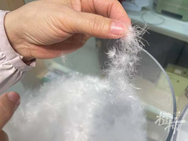 微信图片_20241227215446.jpg