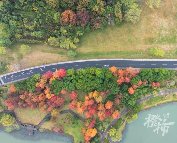 湘湖秋色-DJI_20241205134111_0088_D 拷贝.jpg
