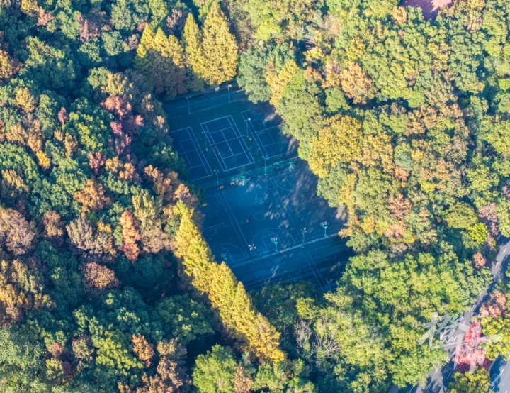 浙大之江校区秋色-DJI_20241126145837_0024_D.JPG