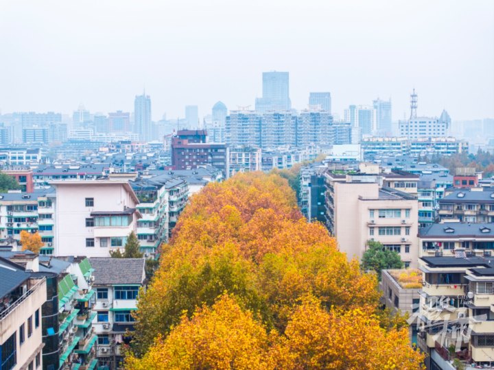 江城路秋色-DJI_20241204142738_0058_D新.JPG