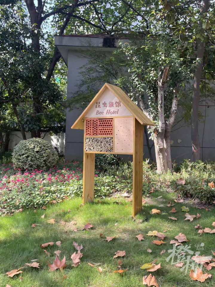 微信图片_20241202131209.jpg