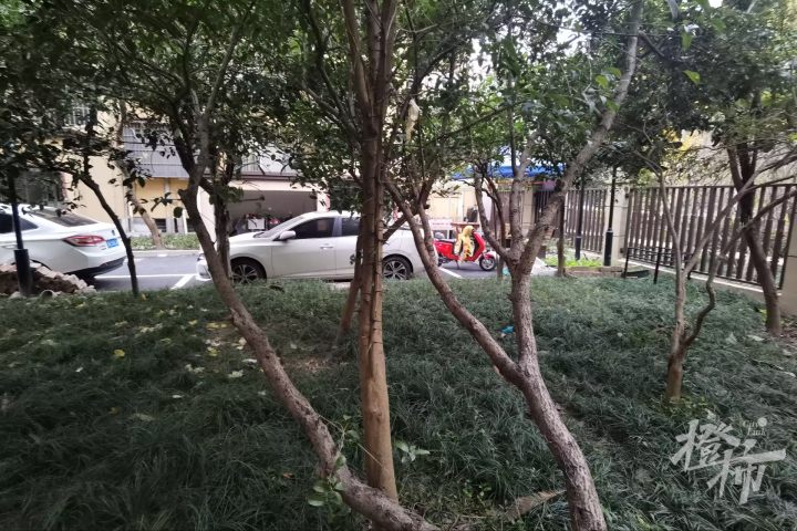 63d081c9940aab55d5d9156940883d95.jpeg