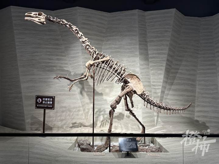 2024_11_24_10_49_IMG_0384.JPG