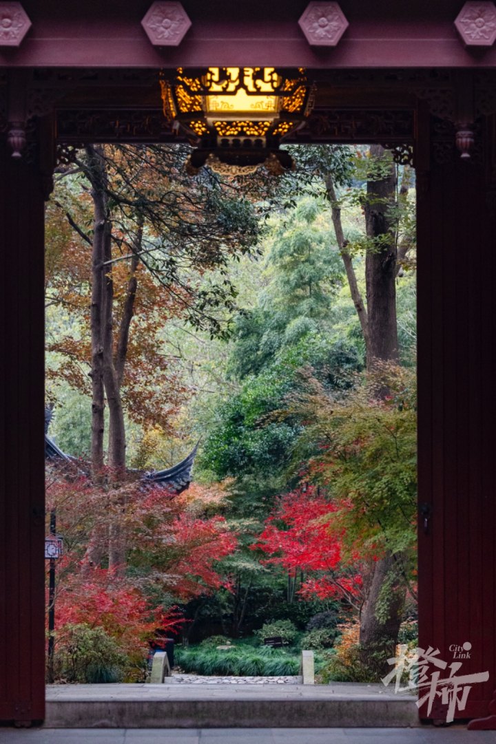 永福寺秋色GE5A5717夏阳.JPG