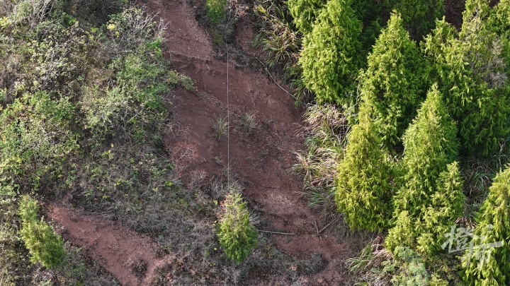 DJI_20241124140137_0589_D.JPG
