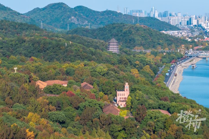 浙大之江校区-DJI_20241126145448_0011_D.JPG