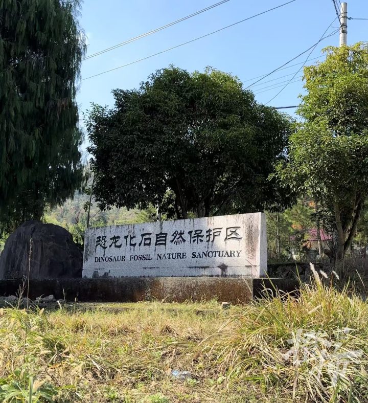 微信图片_20241209182902.jpg