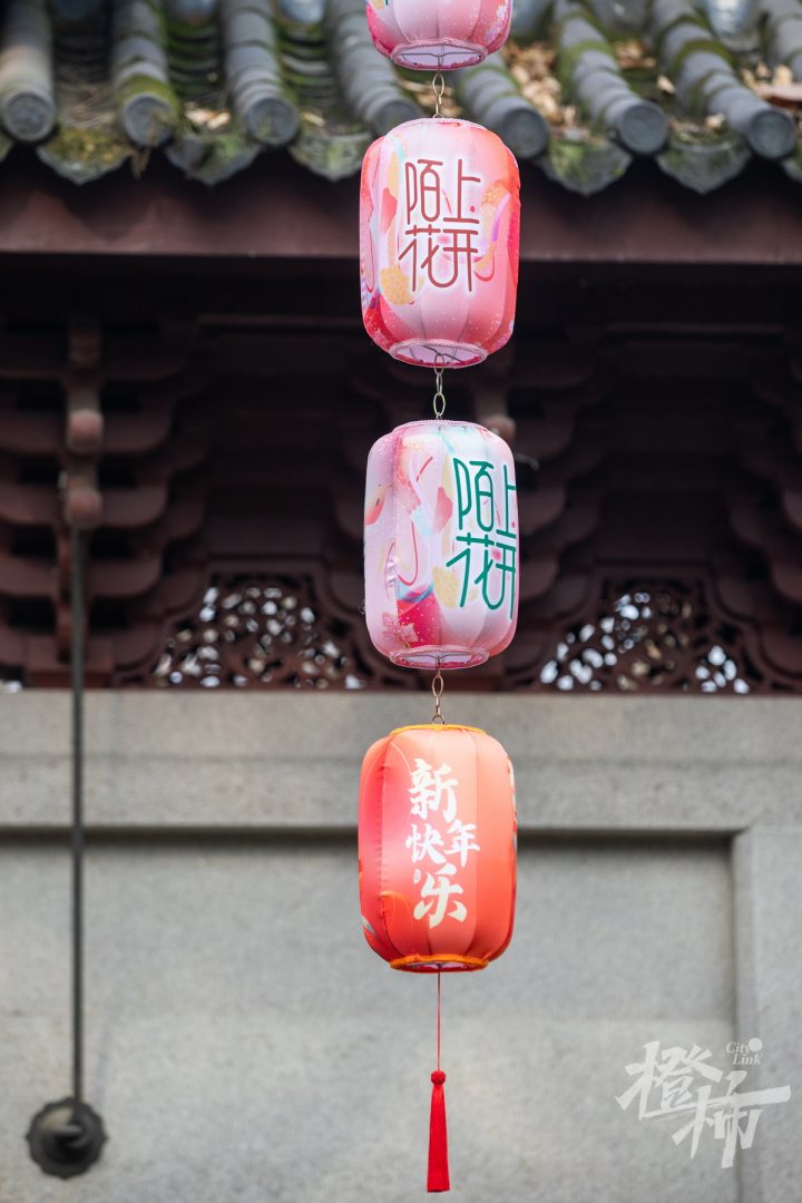 250123czq05 昨天，2025“陌上花开迎春归”西湖迎春花展在西湖景区钱王祠开幕。 记者 陈中秋 摄_调整大小.jpg