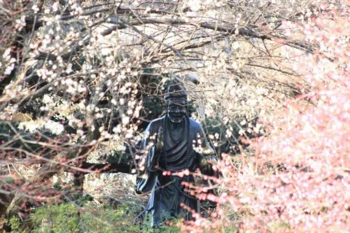 微信图片_20250213155220.jpg