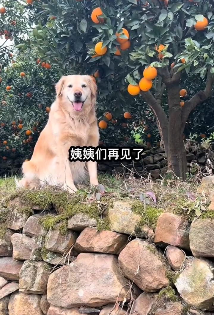 18ff3c65a4773b19ad331f95f276d188.png
