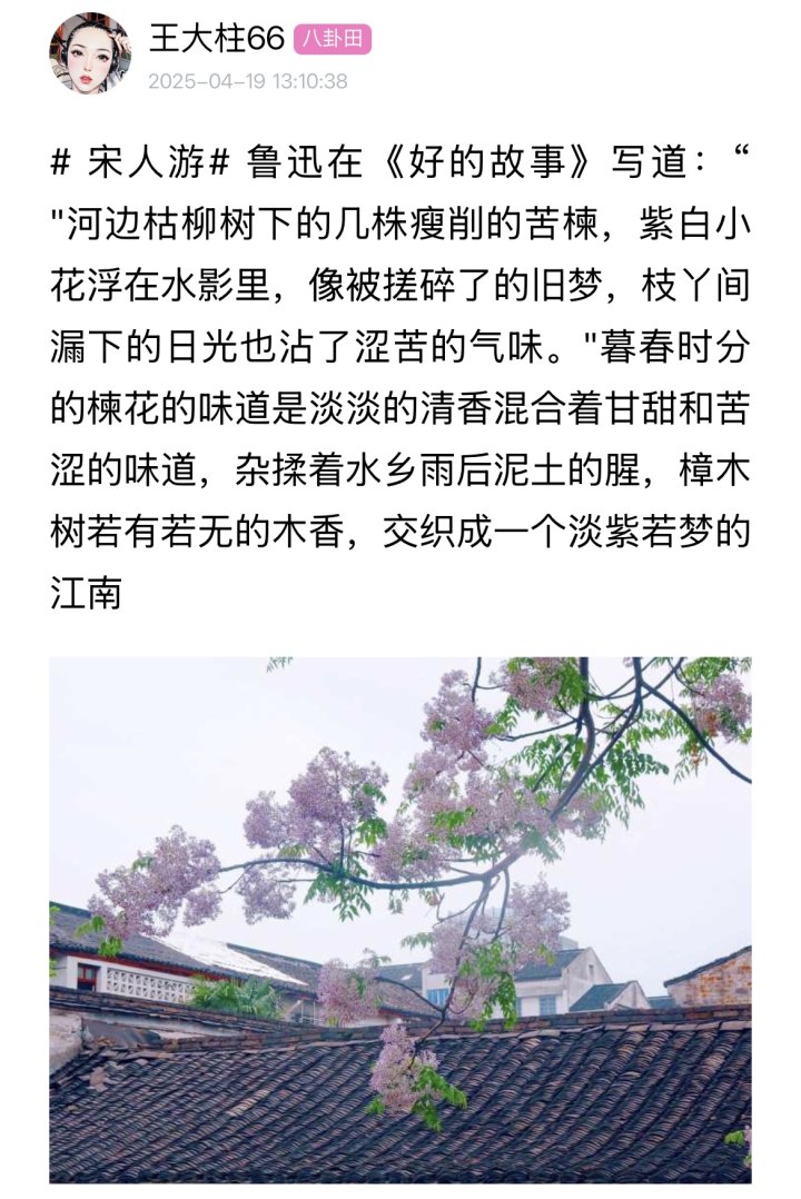 b9f05d0b8126aec8ae96e2eb1ebd4ec.jpg