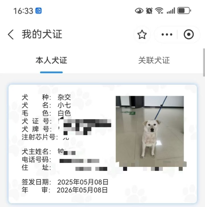 犬证.jpg