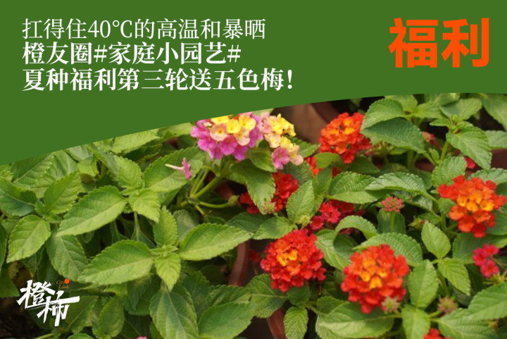 e5112f563be5dd3885f90c582155e62.jpg