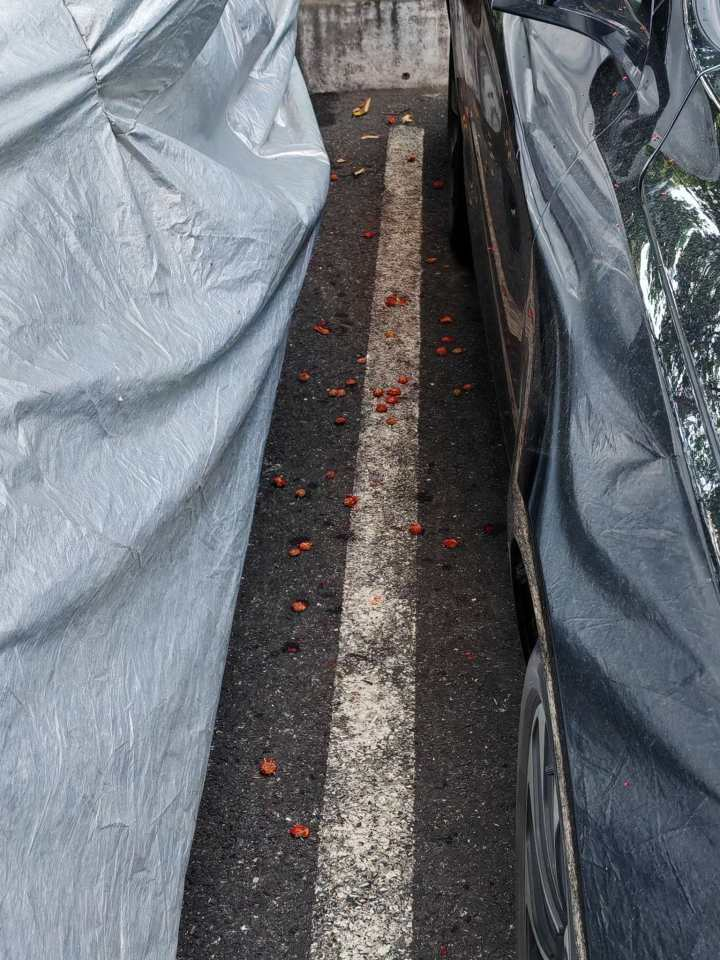 c13402c46e65c9f993e1fdf14f4bd71.png
